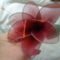 harisnyaviragok-nylon flower 23