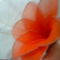 harisnyaviragok-nylon flower 26