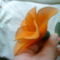 harisnyaviragok-nylon flower 2