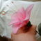 harisnyaviragok-nylon flower 5