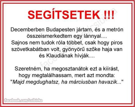 Segítsetek_1447_n