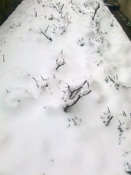 Ezt a havat már nem bírják ki! 13.03.25. 2