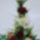 Irenke_szeretet_teli_boldog_nevnapot_kivanokmaca_1646647_6419_t