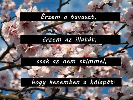 TAVASZ 2013_3867
