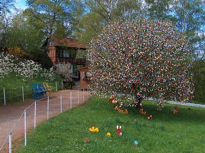 csináld utánuk!  több, mint 10 000 festett tojással díszítik a fákat....van még időd addig megcsinálni *** ! 1