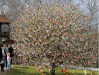csináld utánuk!  több, mint 10 000 festett tojással díszítik a fákat....van még időd addig megcsinálni *** ! 2