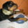 Oltozz_fel_mert_meglevesesedik_az_orrod_1648288_5501_t
