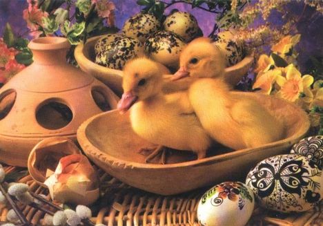 A természetbarátoknak Kellemes húsvéti ünnepeket kívánunk