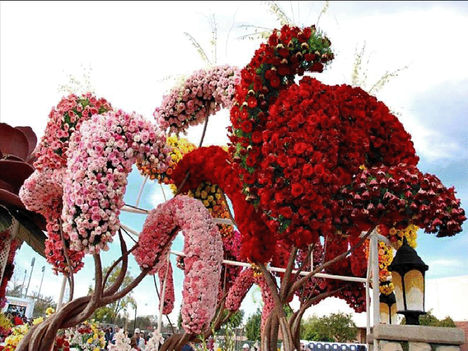 Festival_des_fleurs en Californie 