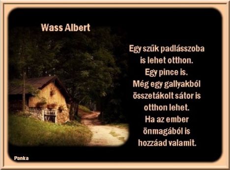 Wass Albert:Egy szuk padlasszobaba is lehet otthon...
