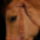 18_1651711_7537_t