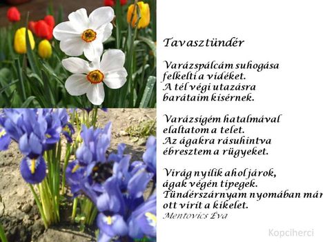 A tavasztunder...