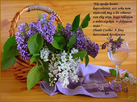 Idezet