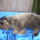 Princ_alszik_inkabb_ilyen_rossz_idoben_1652116_7383_t