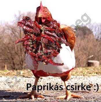 Paprikás csirke:).