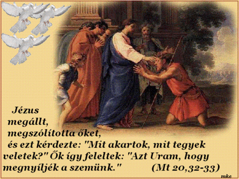 Áldott,szép napot  kivánok!