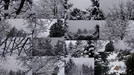 Téli havas fotók 