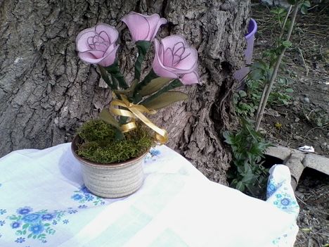 Törpe rózsa-asztaldísz