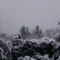 Bánfalvi havas fotók 2013 január