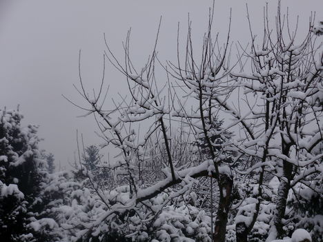 Bánfalvi havas fotók 2013 január 5