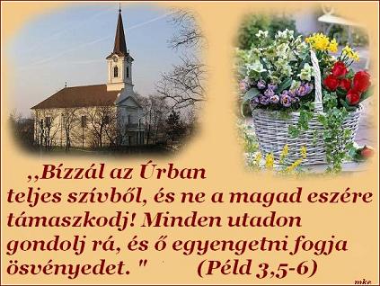 Áldott,szép napot  kivánok!