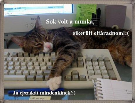 Jó éjszakát szép álmokat !