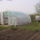 A_nyari_lakom_1_1662747_2080_t