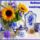 Kellemes_vasarnapot_kivanok__1662832_1213_t