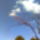 Sargabarackfa_2_1662043_9192_t