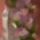 Dscf7560_1663312_4827_t
