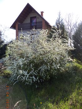 Kertünkből 2013