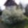 Kertunkbol_2013-064_1663002_9660_t