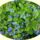 Most_nyilo_viragom_1664102_3915_t