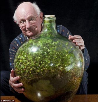 53 éve virul az üvegbe zárt kert