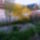 Arany_esom_1665011_7664_t