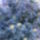 Mar_nyilik_1665014_1307_t