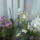 Orchideak-001_1665667_8645_t