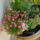 Ujak_1_1665653_1337_t