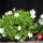 Ujak_3_1665655_9223_t