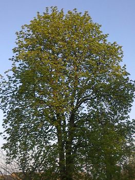 20130425