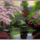 Csodalatos_hetveget_mindenkinek__1666823_6813_t