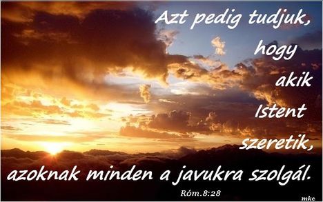 Kellemes estét,jó éjszakát Mindannyiunknak!