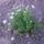 Kertem__3_1666920_1773_t
