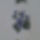 Apro_viragok2_1667270_9413_t