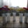 Pillangoviragvazaban_1667779_5202_t