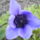 2013_aprilis_023_1669148_5124_t