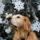 Karacsony_4-002_1669527_5141_t