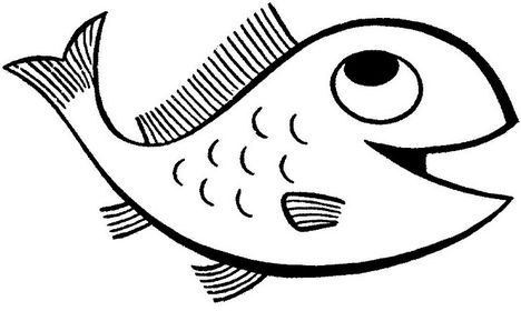 kifestő-hal
