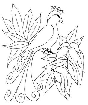 kifestő-madár
