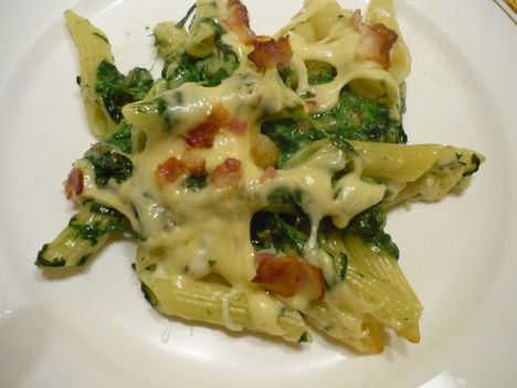 Spenotos Penne